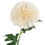CHRYZANTEMA sztuczny kwiat do wazonu kremowa 50 cm - obrazek 3