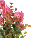 PROTEA BUKIET SZTUCZNY dodatek do kompozycji różowy 32 cm - obrazek 3