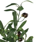 GAŁĄZKA OLIWNA Z OLIWKAMI 90 CM - obrazek 3