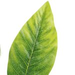 SZTUCZNE LIŚCIE MANGO GAŁĄZKA LIŚCIE DO BUKIETÓW 48 cm - obrazek 3