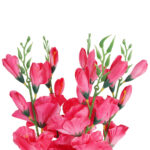 BUKIET 5 GAŁĄZEK MIECZYKÓW ciemno-różowy GLADIOLA 67 cm - obrazek 3