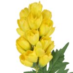 Gałązka pięknej ostróżki 65 cm kolor żółty - obrazek 3