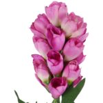 Gałązka pięknej ostróżki 65 cm kolor ciemno różowy - obrazek 3