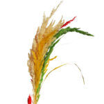 Palma wielkanocna – rękodzieło z suszu Niedziela palmowa 80-86 cm - obrazek 3