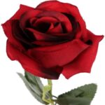 RÓŻA 62 cm KOLOR CZERWONY - obrazek 2