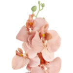 STORCZYK sztuczne kwiaty do wazonu GAŁĄZKA ORCHIDEA jasno brązowa 100 cm - obrazek 3