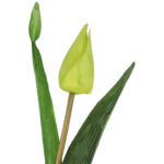 TULIPAN KWIAT SZTUCZNY do wazonu zielony 40 cm - obrazek 3