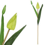 TULIPAN KWIAT SZTUCZNY do wazonu zielony 40 cm