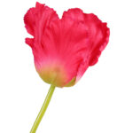 TULIPAN KWIAT SZTUCZNY do wazonu różowy 65 cm - obrazek 3