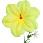 ŻONKIL KWIAT POJEDYNCZY Z BIAŁYMI KWIATKAMI 38 CM - obrazek 3