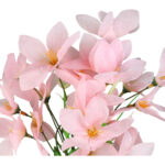 BUKIET JAŚMINU Z DODATKAMI sztuczne kwiaty do wazonu KOMPOZYCJA jasno-różowa 40 cm - obrazek 2