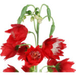 DZWONKI KWIAT SZTUCZNY do wazonu czerwony 85 cm - obrazek 2