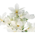 BUKIET JAŚMINU Z DODATKAMI sztuczne kwiaty do wazonu KOMPOZYCJA biała 40 cm - obrazek 2