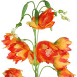 DZWONKI KWIAT SZTUCZNY do wazonu pomarańczowy 85 cm - obrazek 2