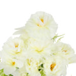 BUKIET GOŹDZIKÓW Z DODATKAMI sztuczne kwiaty do wazonu KOMPOZYCJA biała 40 cm - obrazek 3