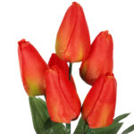 BUKIET 7 TULIPANÓW pomarańczowy 34 cm - obrazek 3