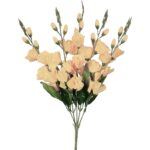 Bukiet 5 kremowych gladioli