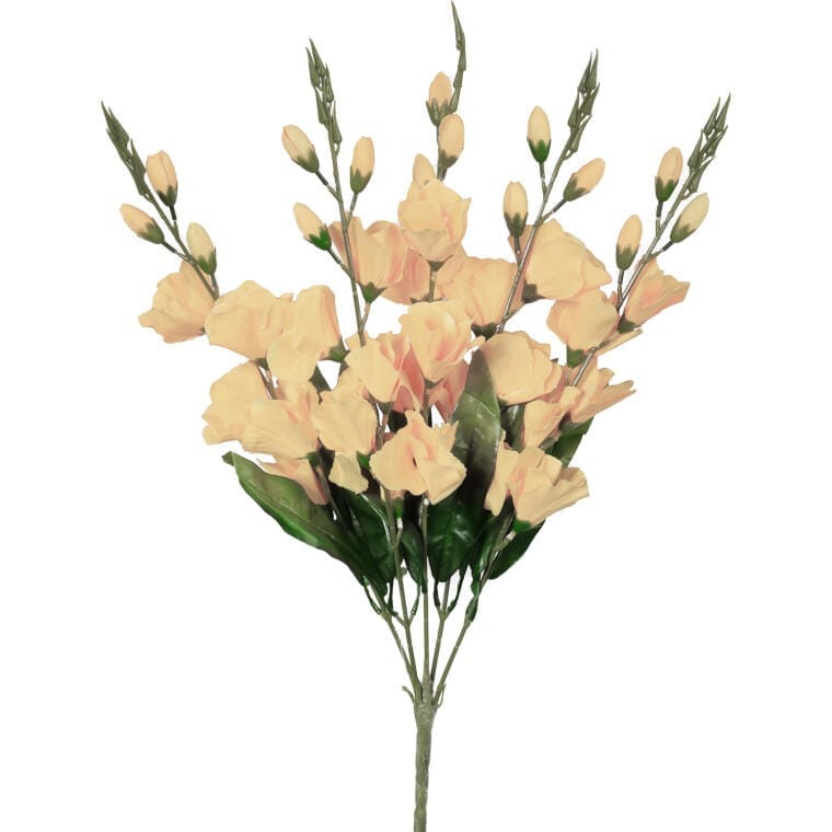 BUK5G-0767K Bukiet 5 kremowych gladioli - obrazek 1