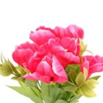 BUKIET 6 GAŁĄZEK EUSTOMY WYSOKOŚĆ 36 CM - KOLOR RÓŻOWY - obrazek 2